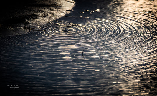 Soul Reconnection Adventure - Sound Bath in Nature (*hiking involved, price is per person, Max 4 people))